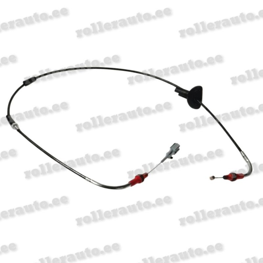 CABGEA1009693